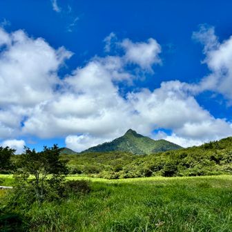 烏ヶ山、カッコいい✨