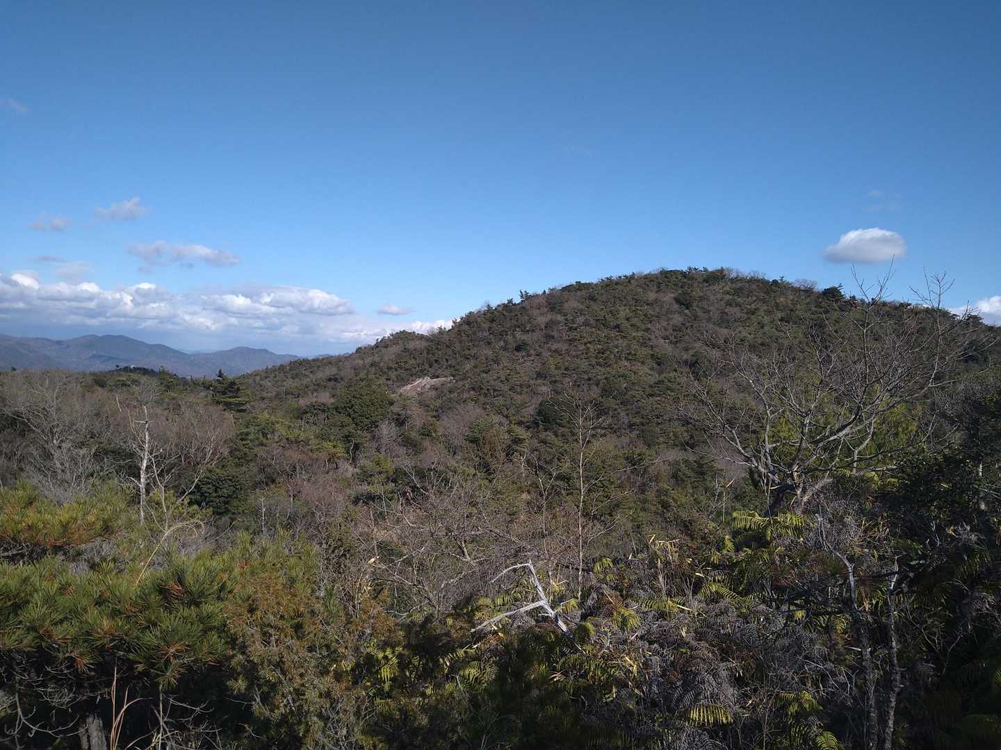 歩いてきた山です
山頂の左下の少しハゲているところは歩いて横切ったところ…のはず！