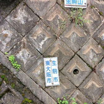 県境
この上からまた暗い山道に入ります