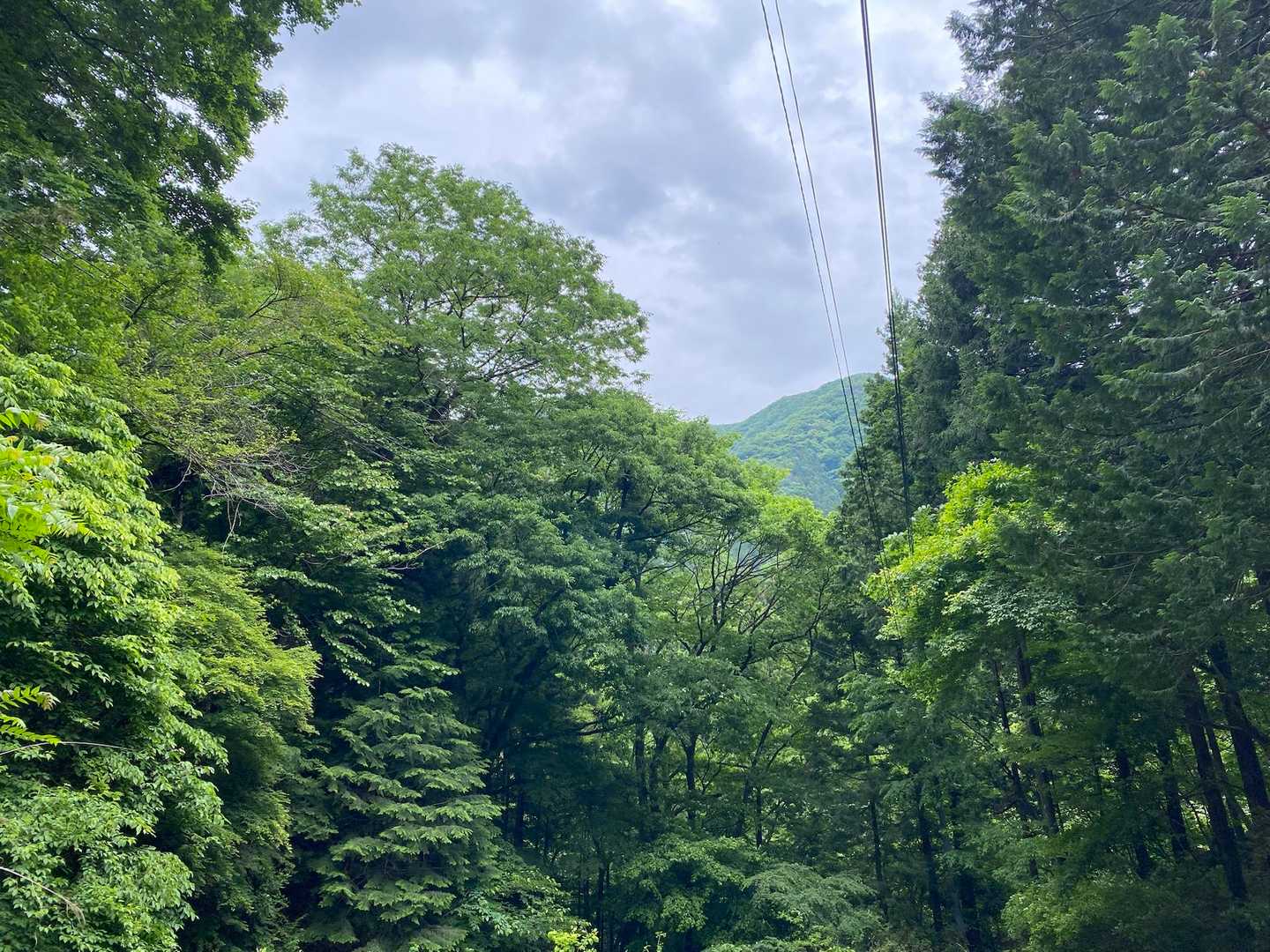 ⛰️チラり