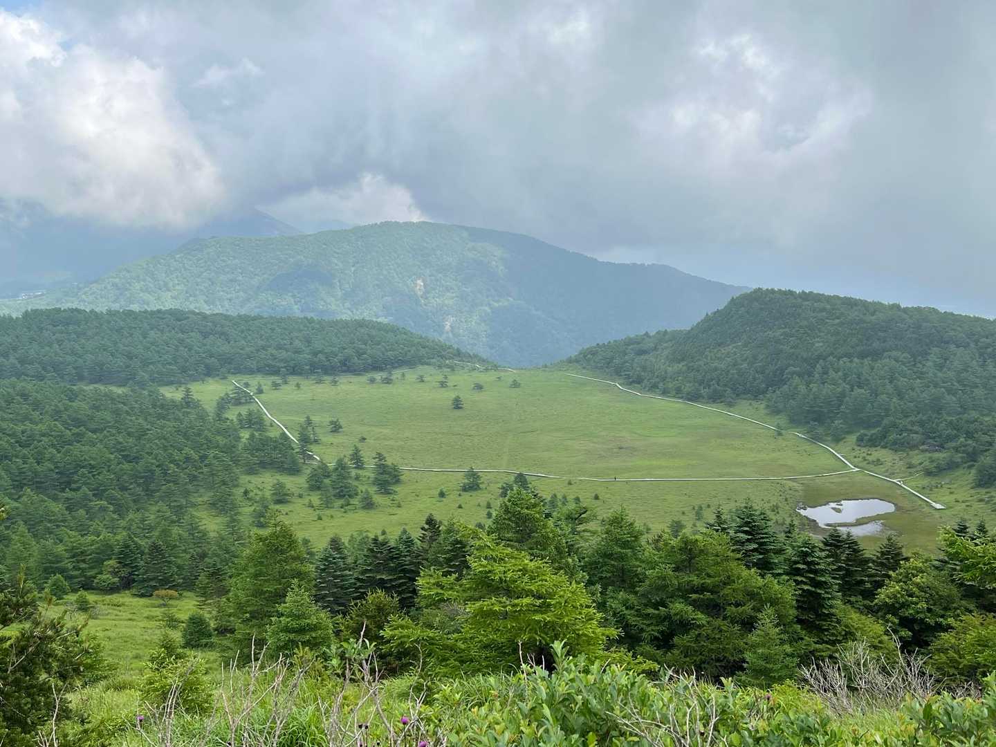 湿原の全景😀　大昔は三方ケ峰の火口湖でしたが正面の外輪山が崩れ落ちたところから水が流れ出て湿原が形成されたそうです