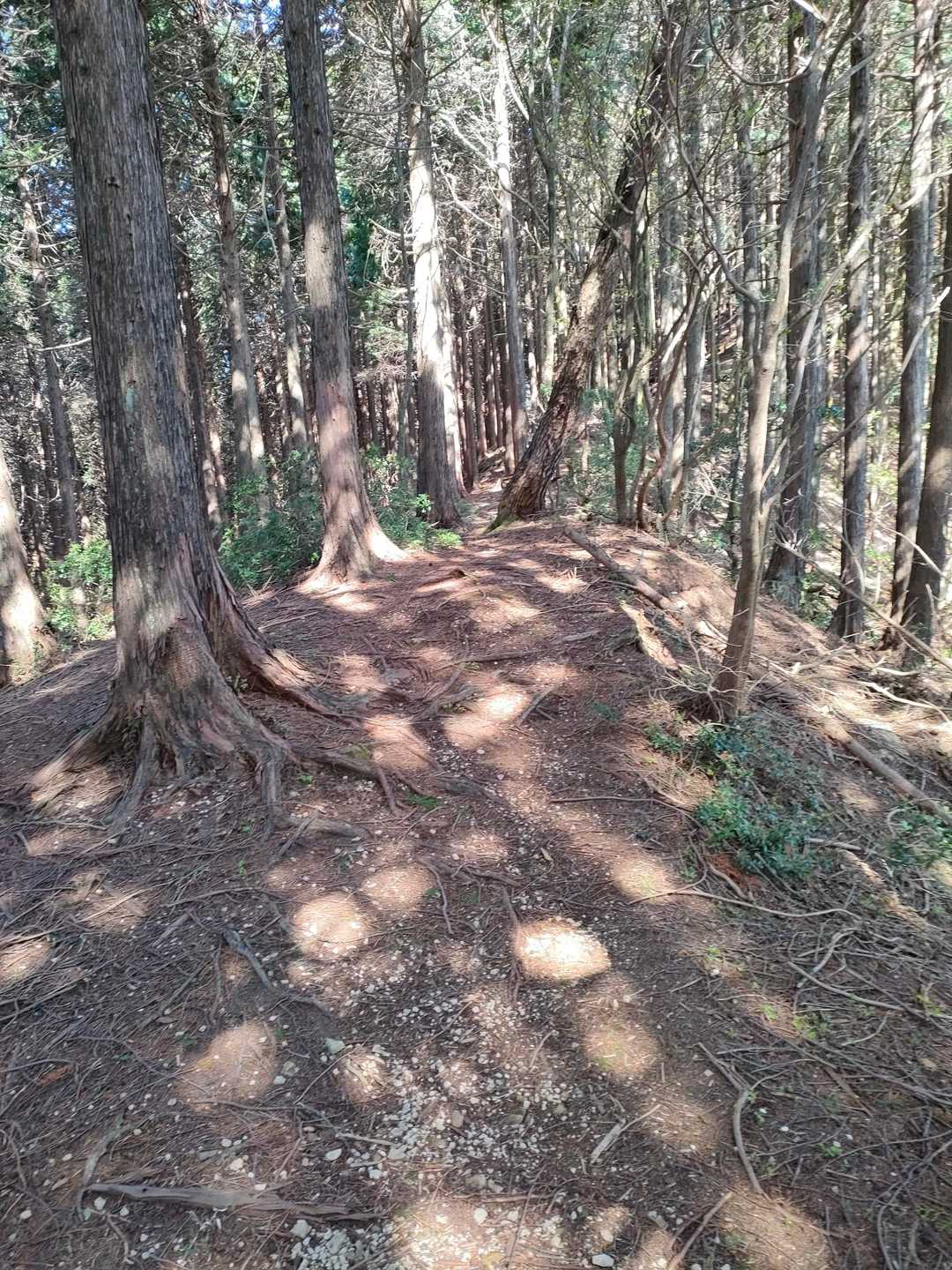 　ずっとこんな調子だ。