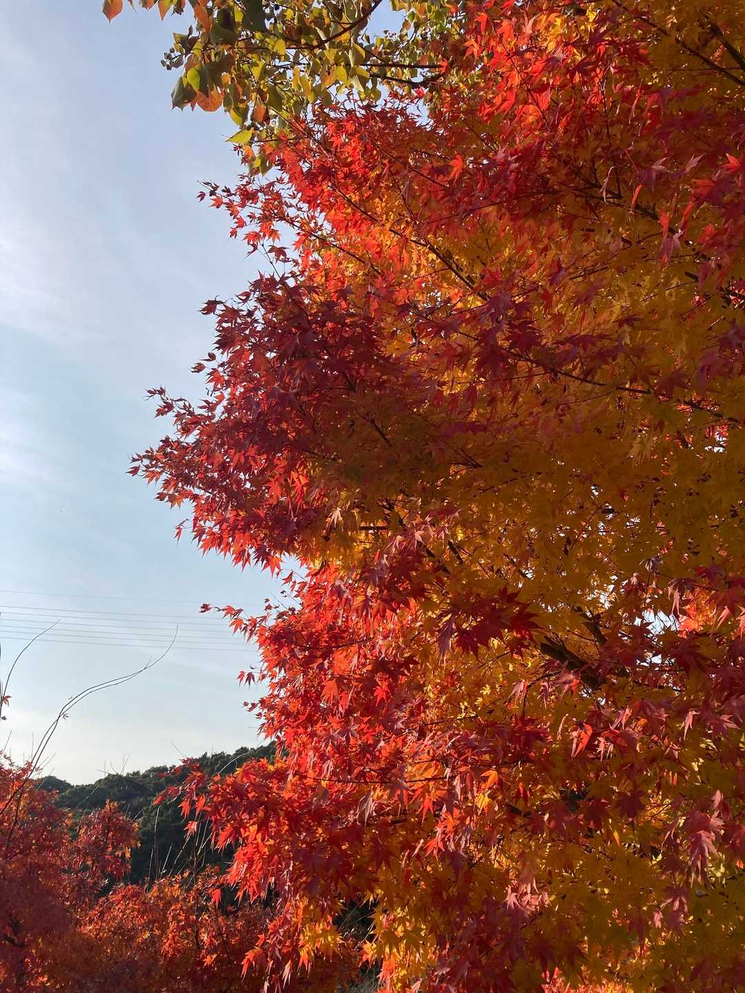 三日月山往復 | 福岡市から近く景色抜群でファミリー登山に最適の写真