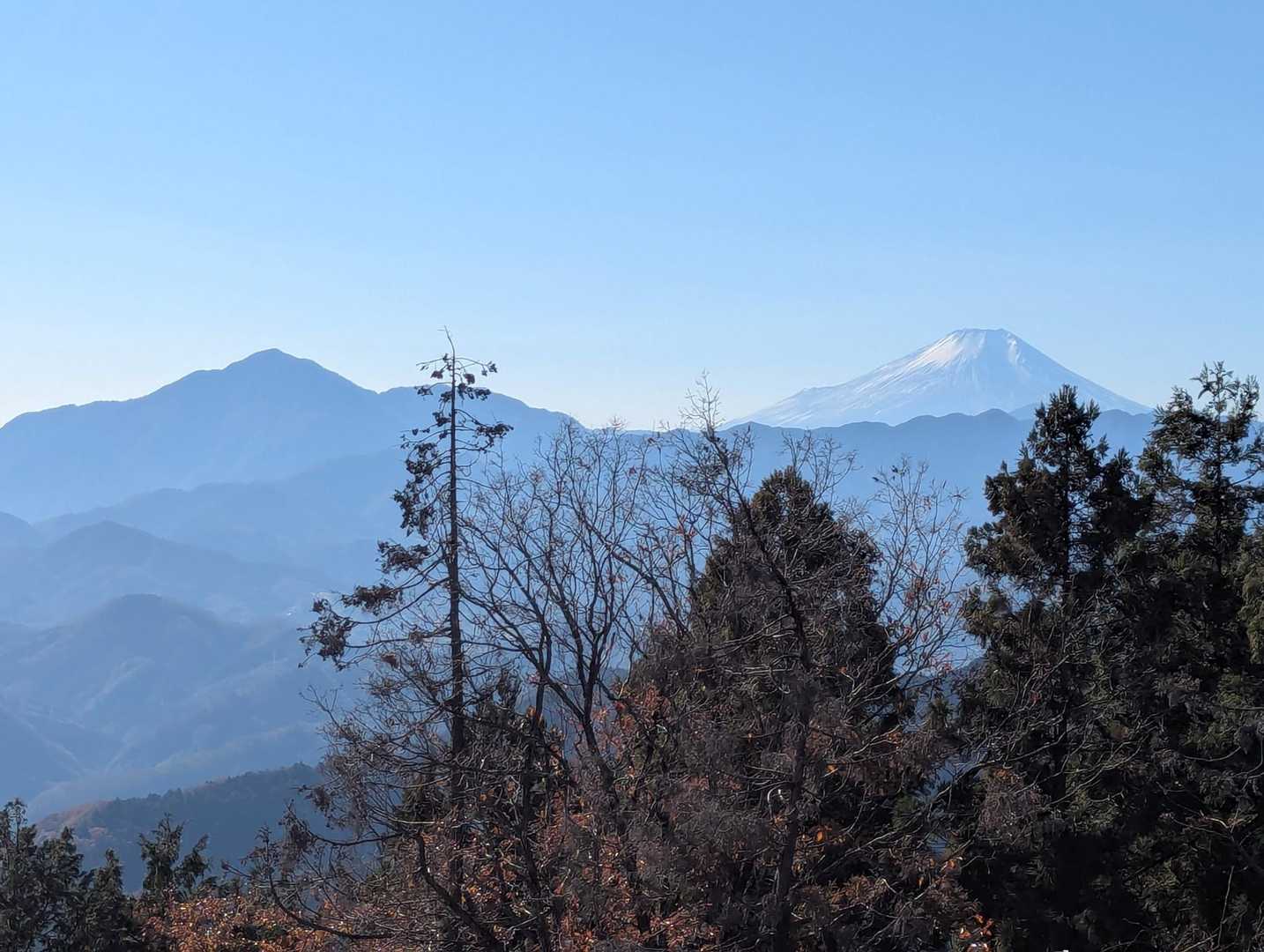 小仏バス停-景信山登山口-ヤゴ沢作業路登山口 周回コースの写真