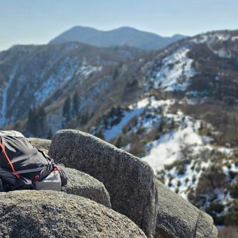 おやつタイム、またのんびりしちゃう