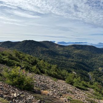 本白根山