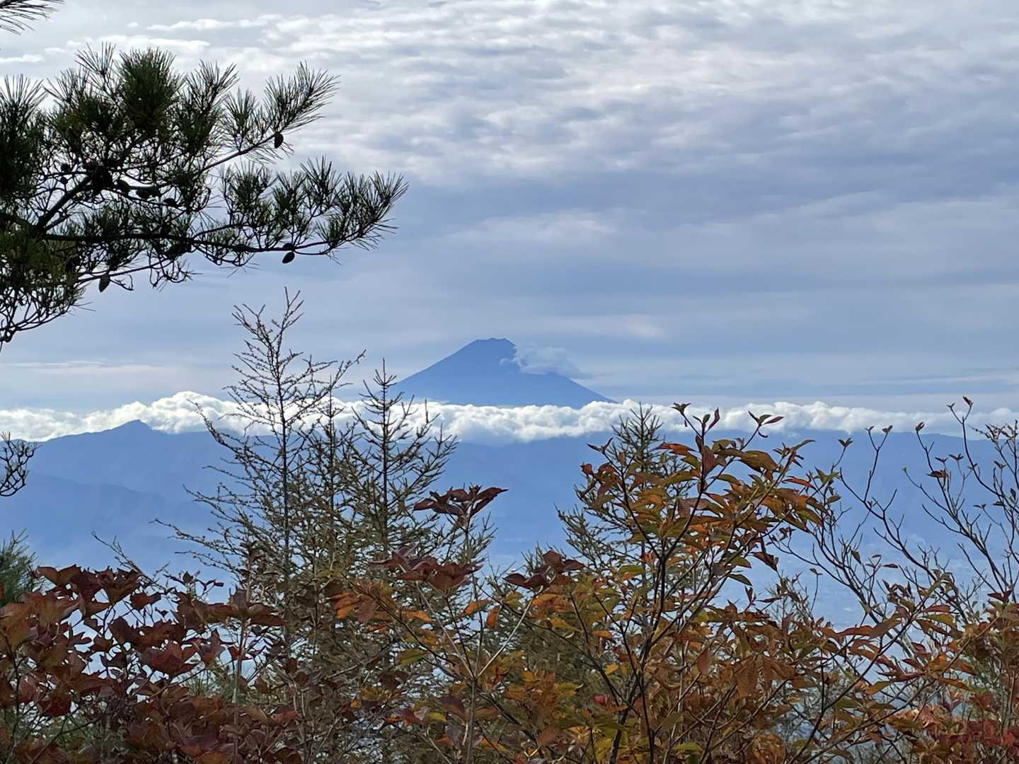 ほう、見えますね
良いです😊