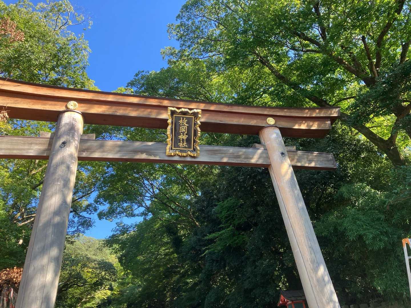 枚岡駅-タタラ山-暗峠-ぼくらの広場-神津嶽ふれあい広場 周回コースの写真