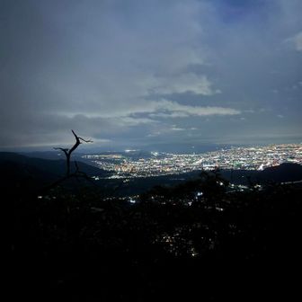 夜景綺麗！