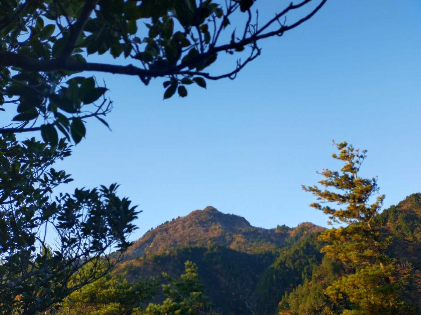 今日は秋晴れの予感☀