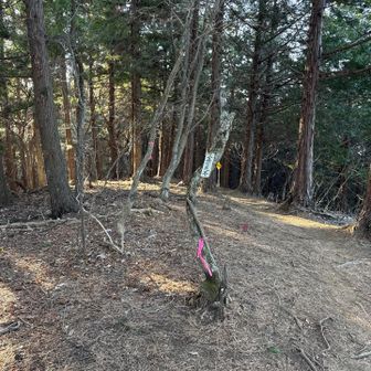 富士見平と言いつつ景観無し💦
