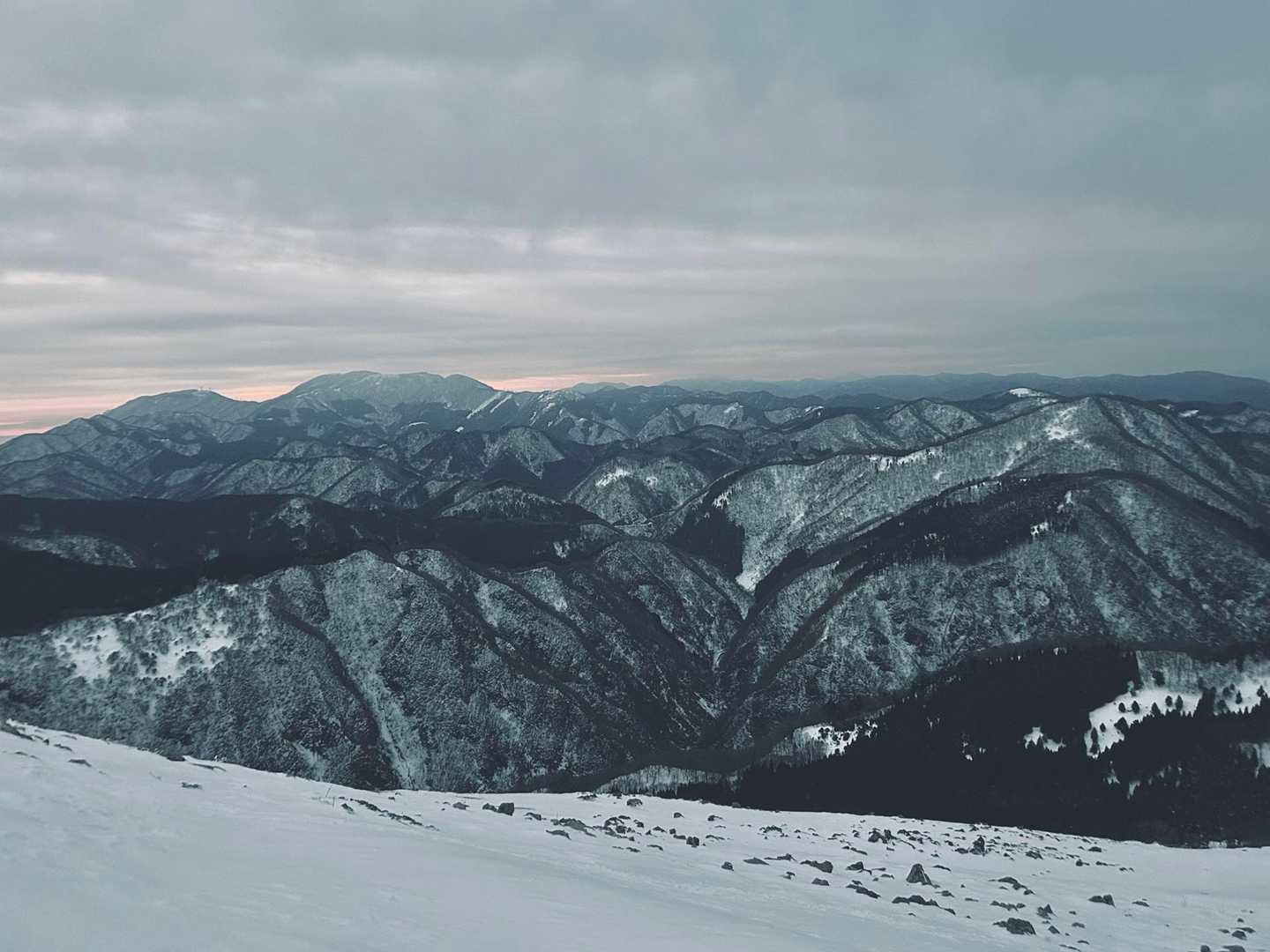 今畑登山口-笹峠-霊仙山最高点 往復コースの写真
