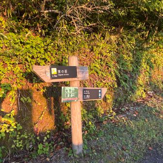 大平山から行きましょう！