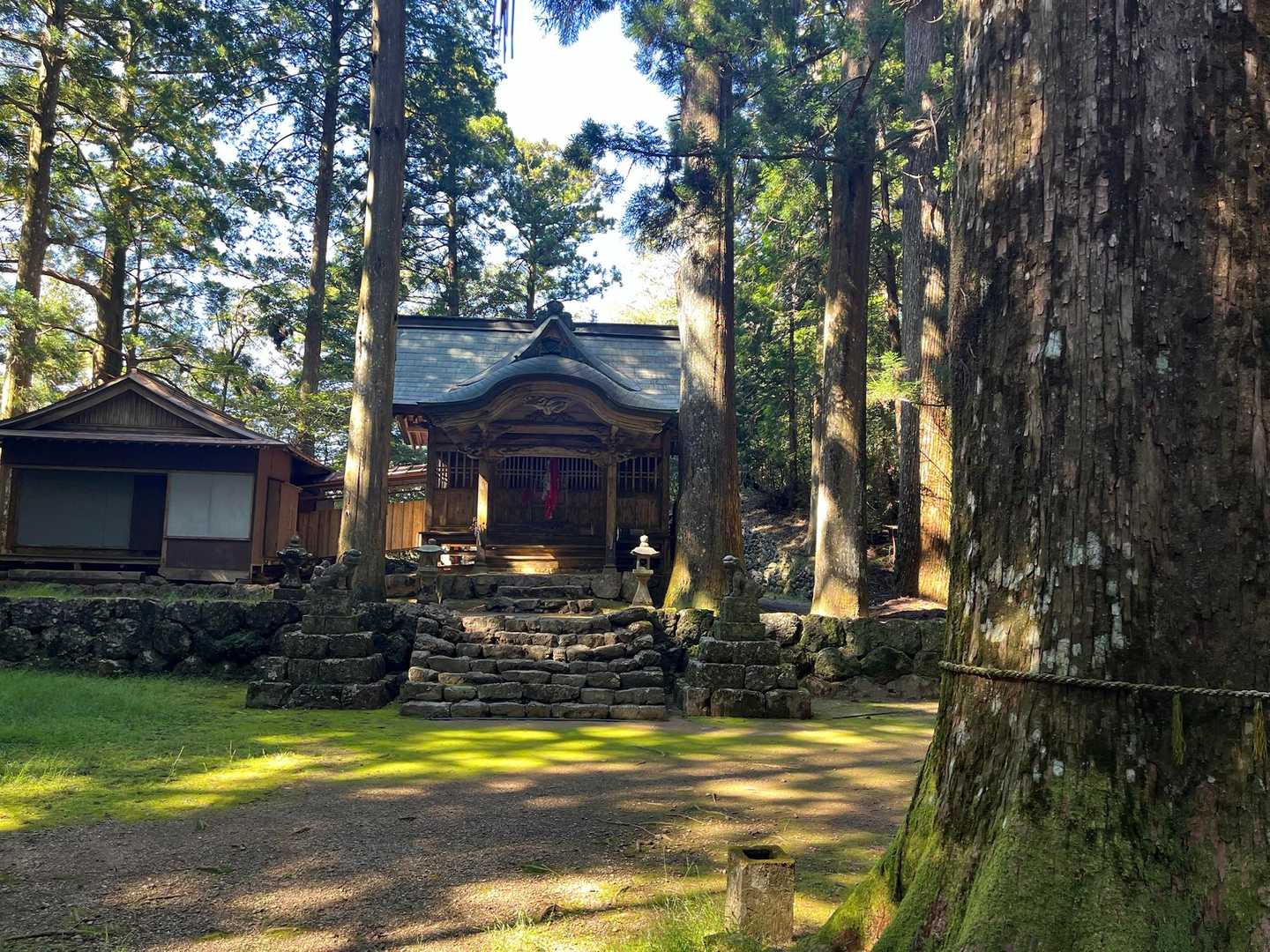 杉原神社⛩️
大きな杉の木に囲まれてます🌲
巨大な杉が多いから杉原神社と言うそうです。