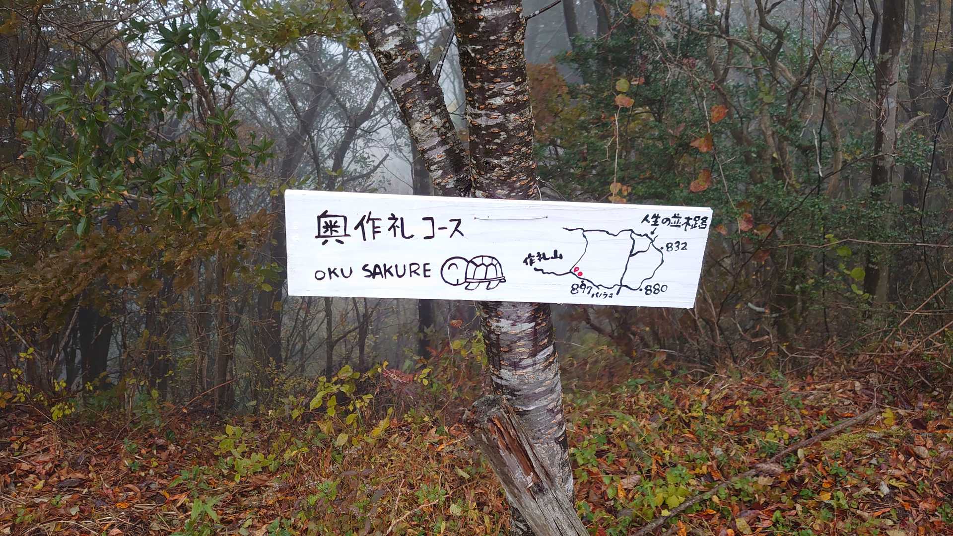 所変わって作礼山の駐車場
人生の並木道に行く予定でしたが、雨が降りやまないので行けませんでした