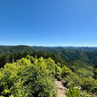 青と緑