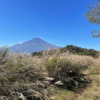 ずっと富士山を眺めながら稜線を歩きます