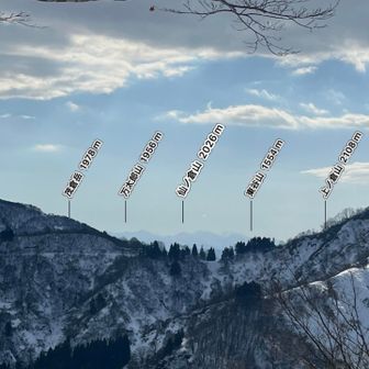 ちょっとずれてしまったけどくっきり