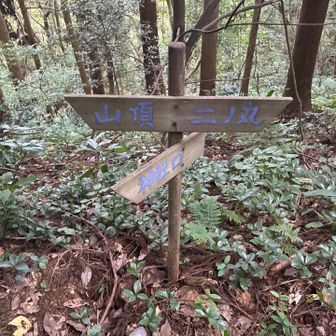 去年行って何もなかった