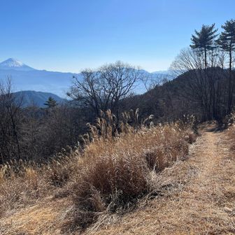 一人きりの山頂、堪能しました。下山しましょう。