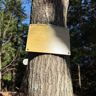 久美山でございます💁‍♀️

大分うっすら🫥