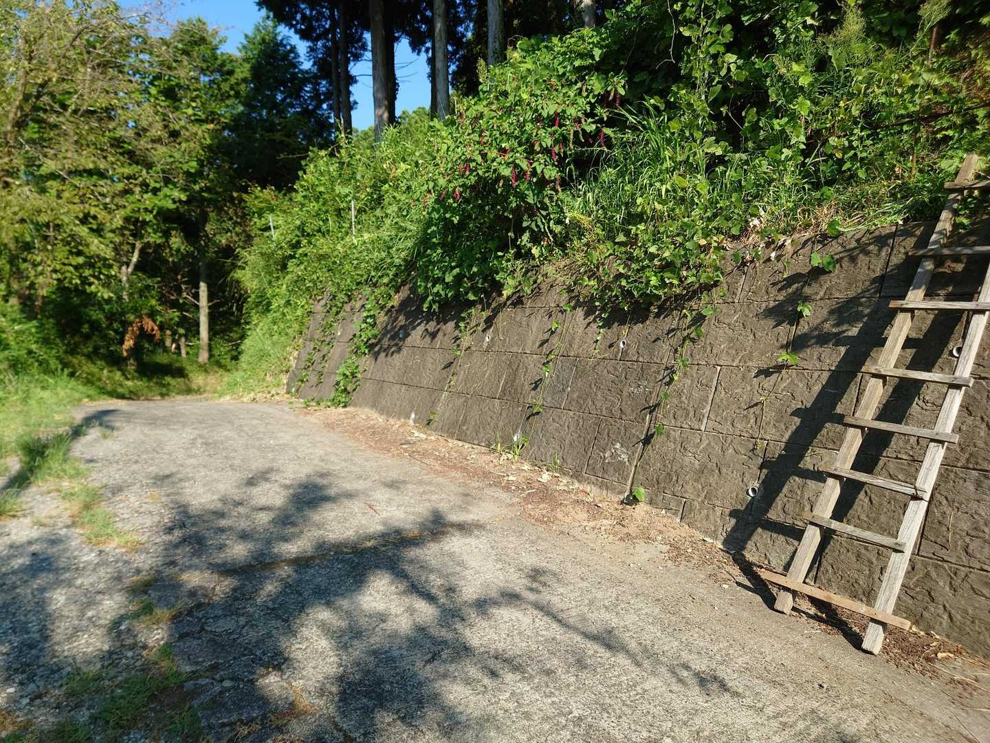 駐車場表示はありませんが2,3台は止めれそうなスペースあり
こっからは離合も厳しい道幅です