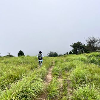 いつもの良い景色は見えず