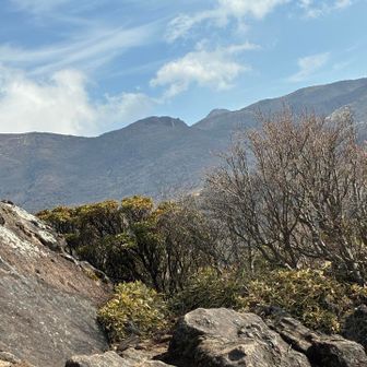 奥〜に久住山🏔️