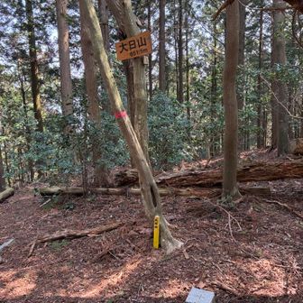 大日山に到着。
展望なし
