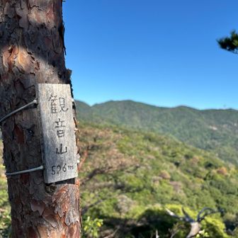 ここに観音山のプレートあり…🤔
