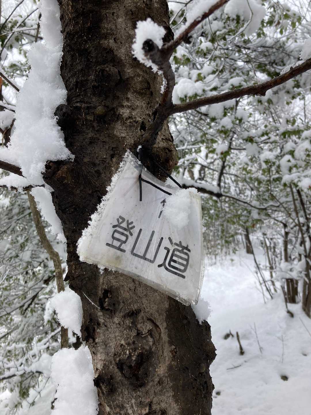 道が合ってる事を確認。