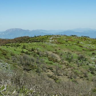 奥のやや左が伊吹山、やや右が能郷白山。