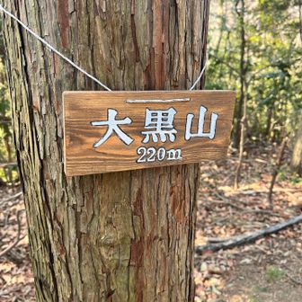 ほどなく ひとつ目のピークに到着〜