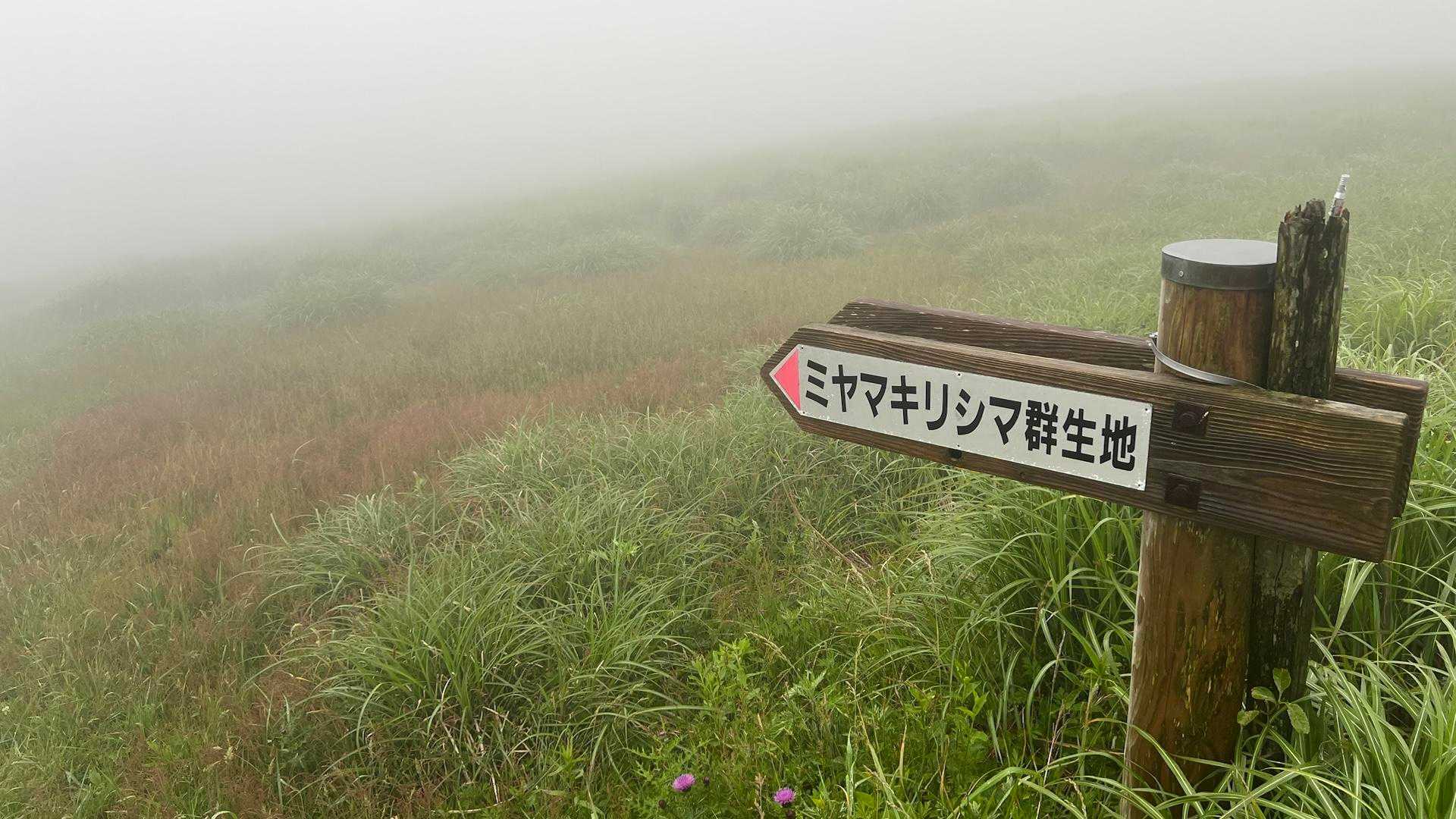 こっちね⬅️
