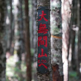 へたる身体に喝を入れて大無間に向かいます。