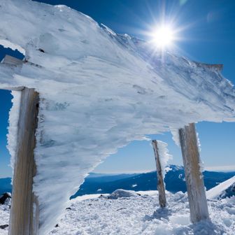 鳥居⛩️

巨大な鳥🕊️、居ました😂
