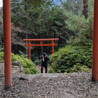 鳥居⛩️をくぐり