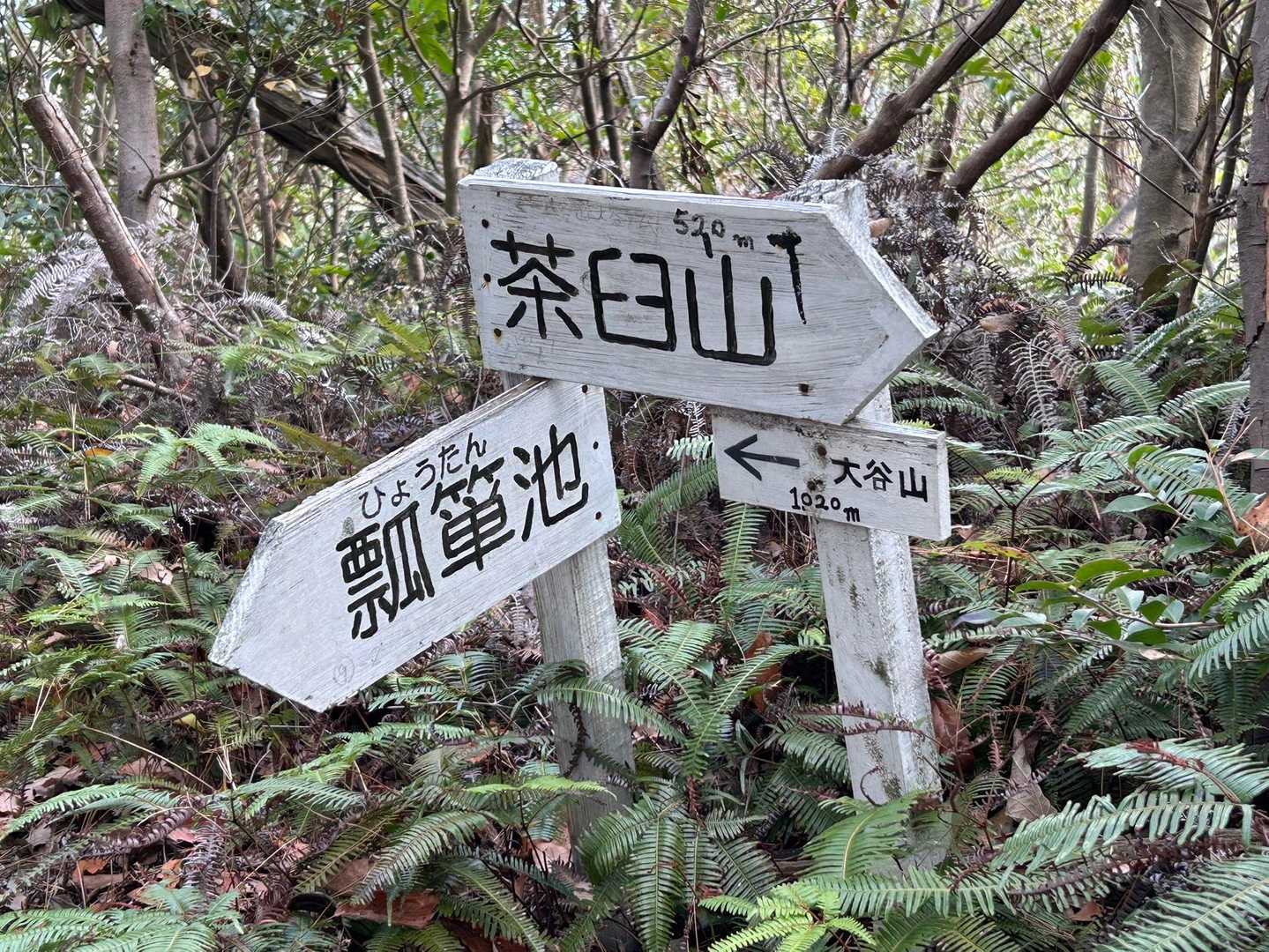 茶臼山-大谷山-大谷ダム 周回コースの写真