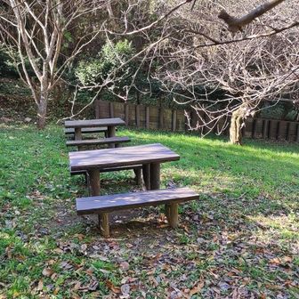 階段を降りきった所にまた休憩所が。

私も、９時半になってたので少し休憩しました。