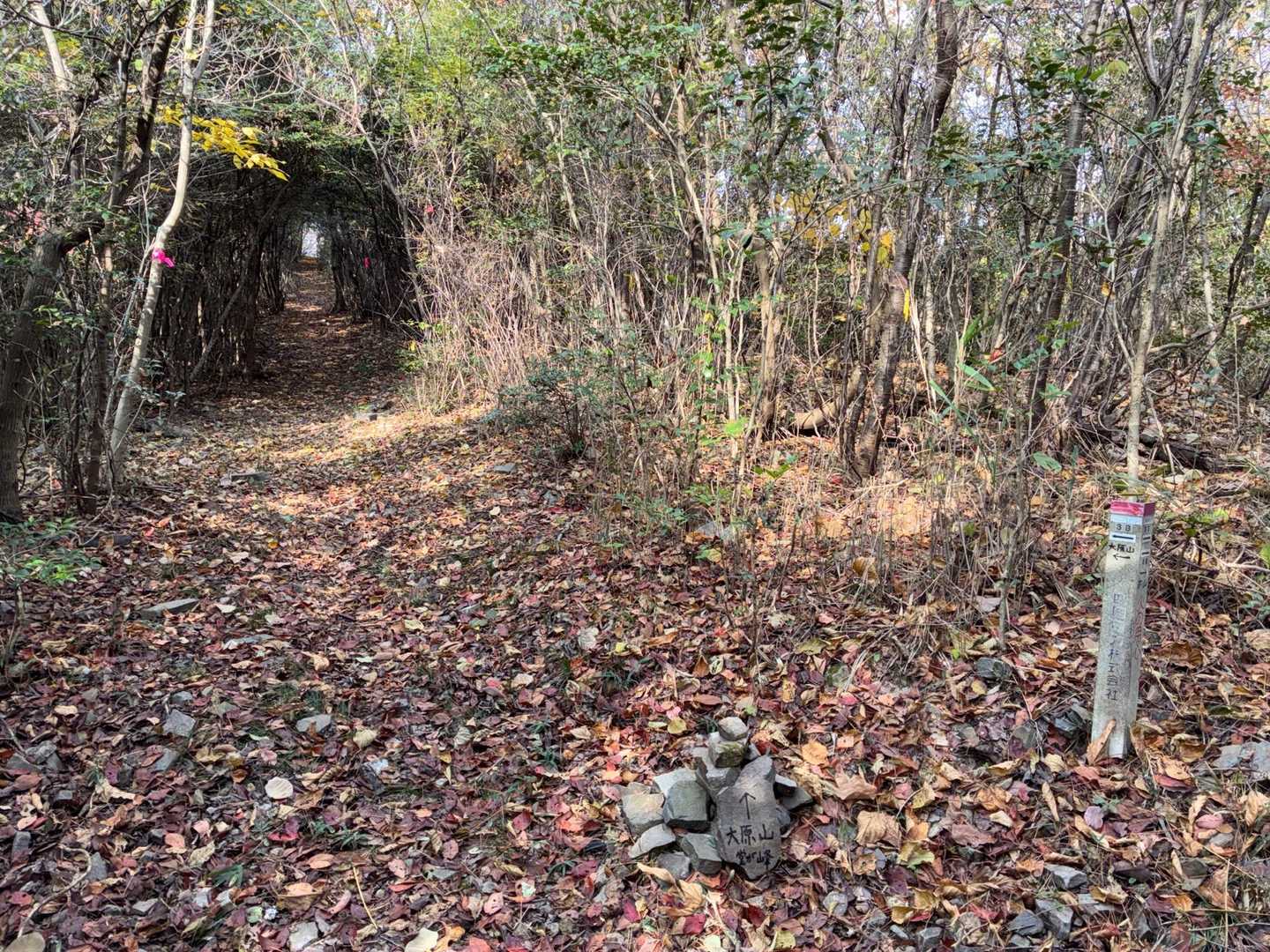丸山への分岐
右が丸山方面直進すれば堂が峰