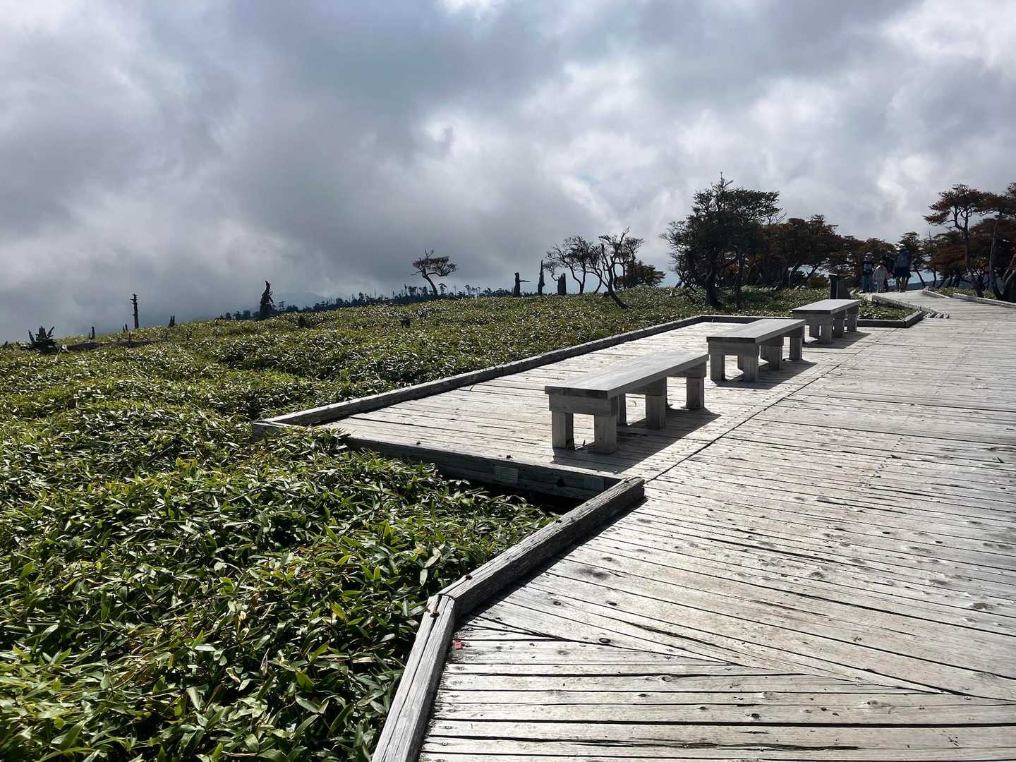 大台ヶ原バス停-大台ヶ原山-尾鷲辻-大蛇グラ 周回コースの写真