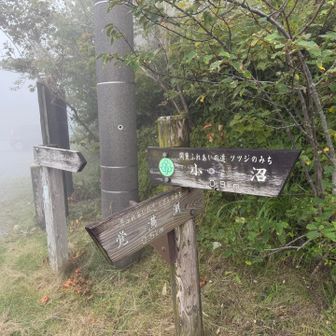 鳥居峠に到着
小雨がパラパラ降ってきました
覚満淵は霧で何も見えませんでした