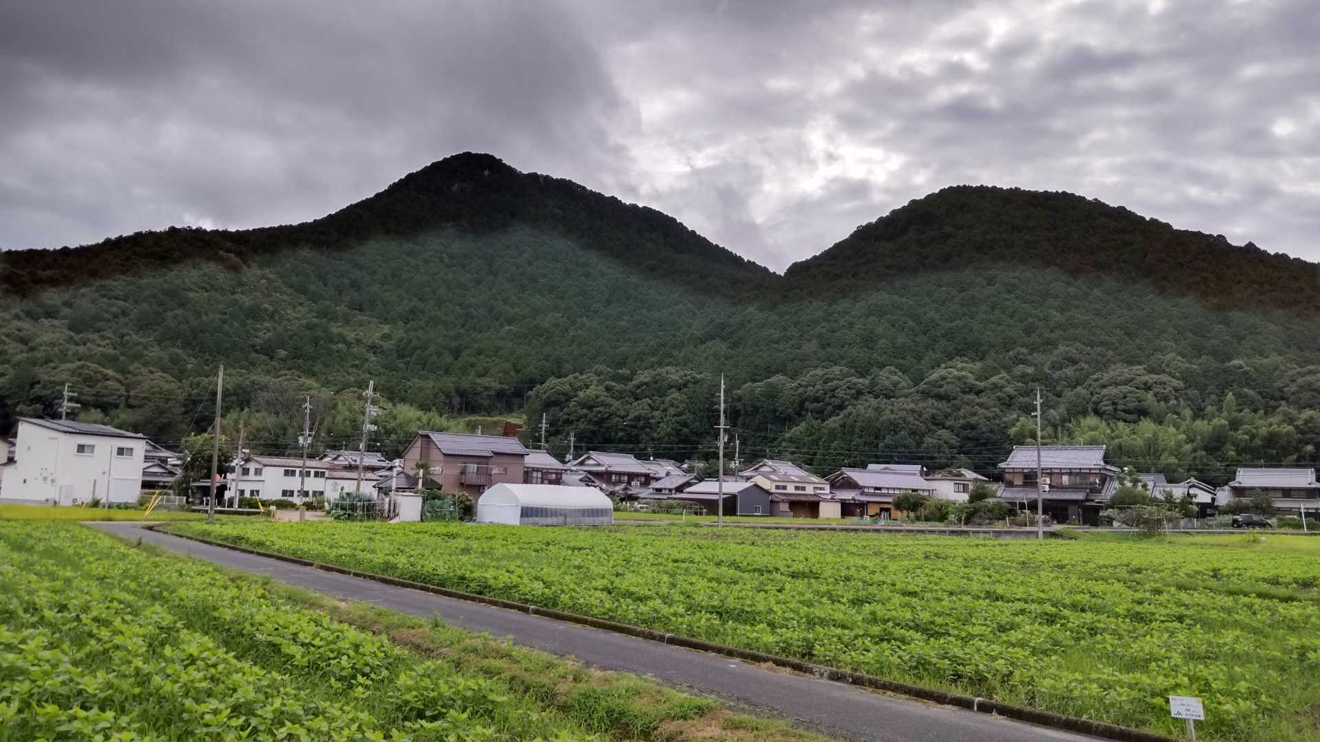 さて、今日はどう歩こうかな。