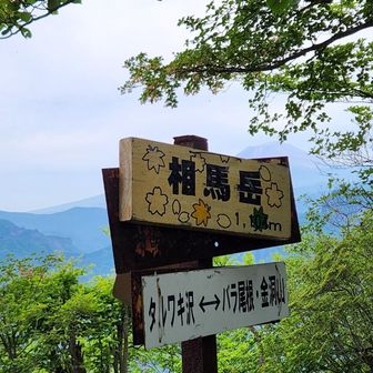 相馬岳山頂
一人も会わずに登頂、山頂にもドウダンツツジが咲いていました。