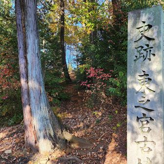 茂みに隠れてわかりにくいが山頂へはここから