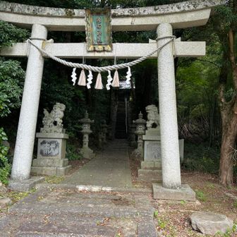 谷田神社⛩️ここで小雨が降って来たので急いで帰ります💦