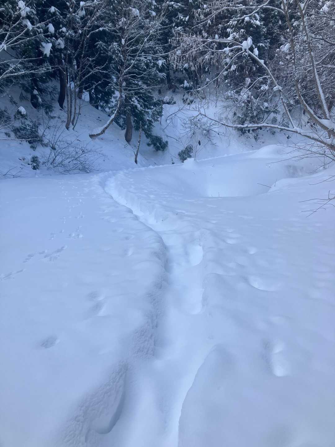 ボチボチ進む