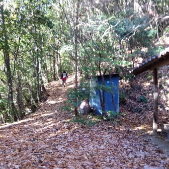 ここ記憶にある🤔山ちゃんに出会うも話が叶わなかった場所だ😮‍💨