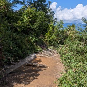下台倉山
ここからがしんどい