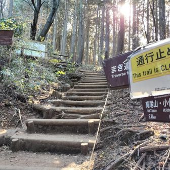 ここの左の巻き道は通行止めだそう
（なのに突き進む人がいました、「そっち通行止めですよ」と声掛けしてみたんだけど）